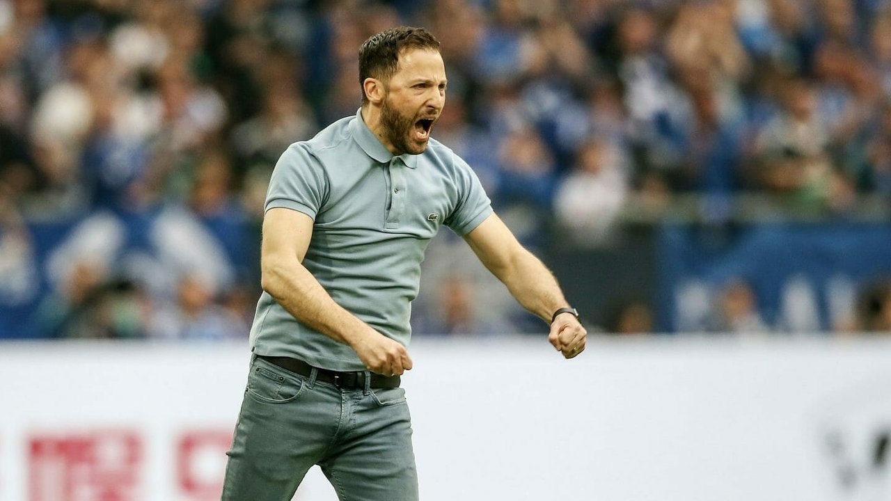 Domeniko Tedesko novi trener Belgije