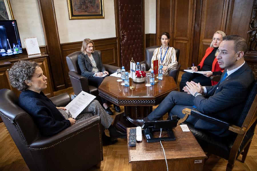 Klarić se sastao sa Vag: OEBS posvećen posvećena podršci Parlamentu