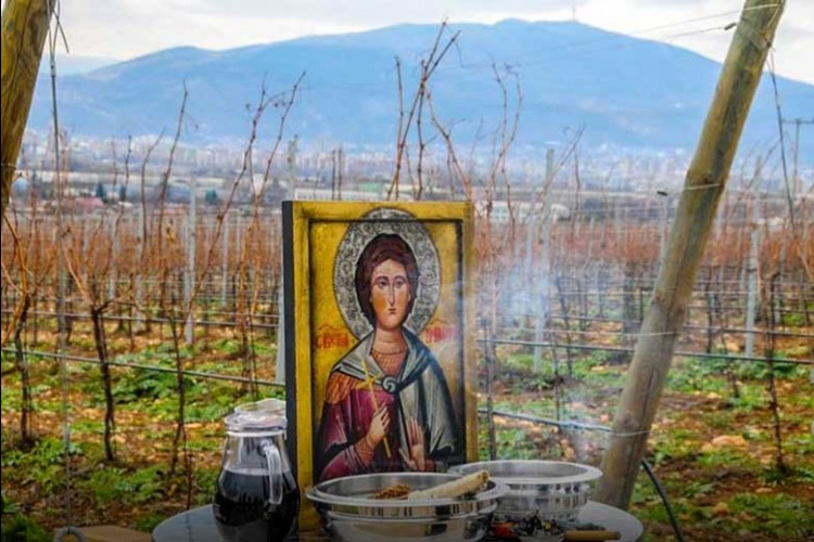 Danas je Sveti Trifun, zaštitnik zanatlija i vinogradara