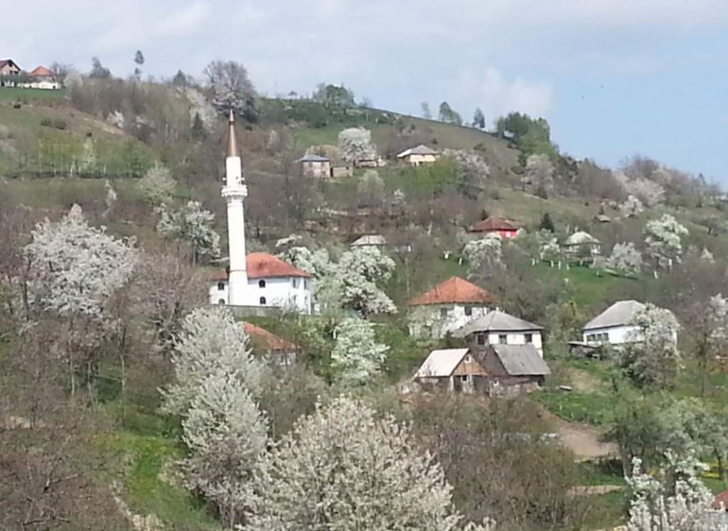 Metež u bjelopoljskom selu Kukulje, aktivisti DPS-a „izradili“ Hajroviće:  Za glas dobili po 50, umjesto obećanih 300 evra, intervenisala policija!