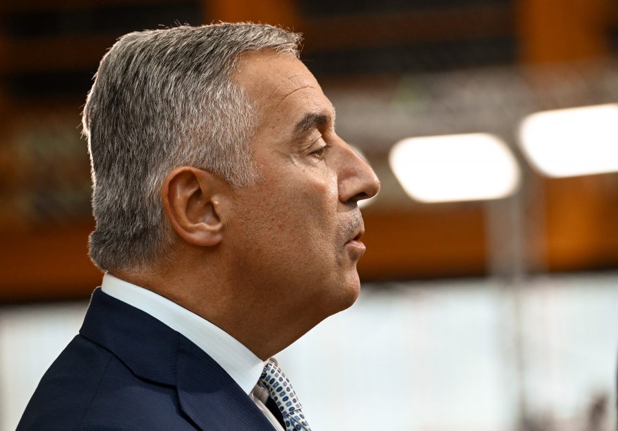 PRILOG ZA BIOGRAFIJU MILA ĐUKANOVIĆA