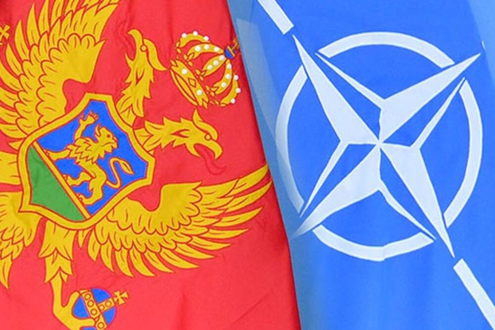 Psi ogluvjeli od NATO-a