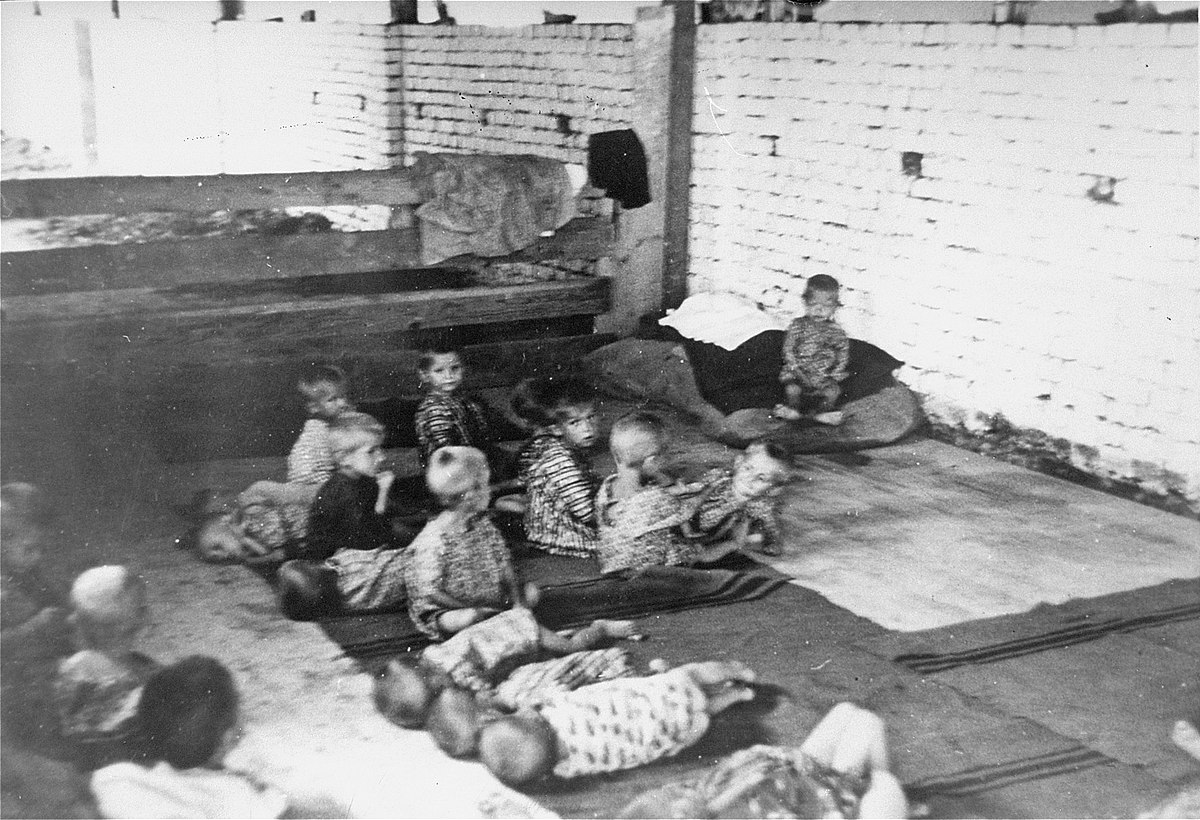 Skupština Srbije usvojila Rezoluciju o ustaškom infanticidu NDH nad srpskom, jevrejskom i romskom djecom u dječjim logrima smrti!