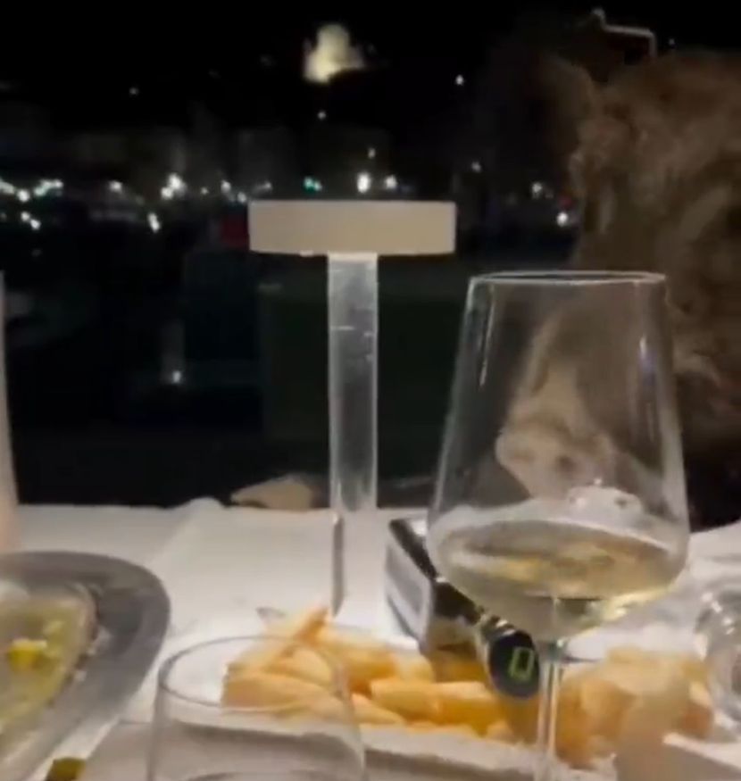 Divlje svinje uletjele u restoran i poslužile se hranom sa stola