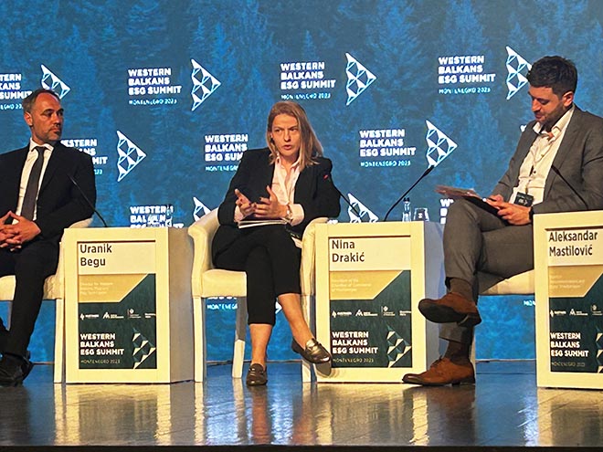 Drakić: Zelena i digitalna tranzicija potvrdile se kao neophodnost