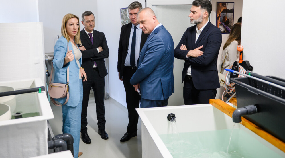 Na Institutu za biologiju mora u Kotoru otvorena laboratorija školjki kamenice