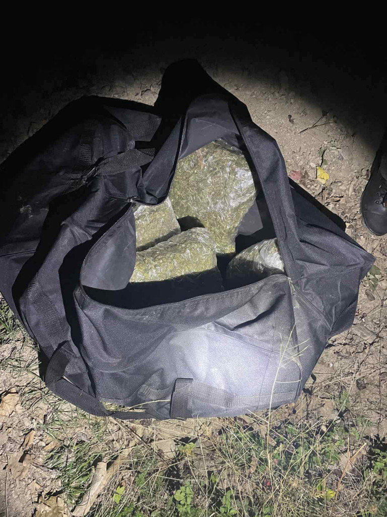 Viši sud osudio Žižića na 16 mjeseci robije zbog pokušaja šverca marihuane