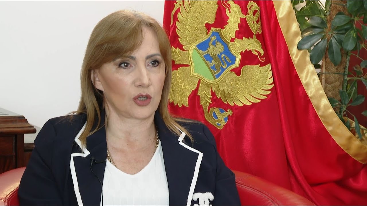 Perović Ivanović: Još jedna potvrda civilizacijskog sunovrata u koji tone crnogorsko društvo