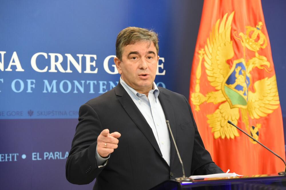 Medojević: Djeca idu u kriminal, trebaće dosta muke da se sistem vrati u normalu