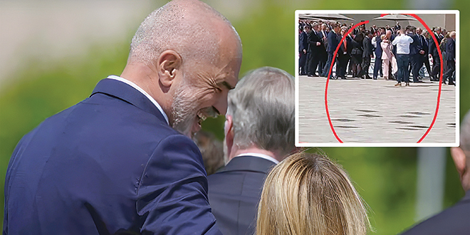 Ćuran u patikama