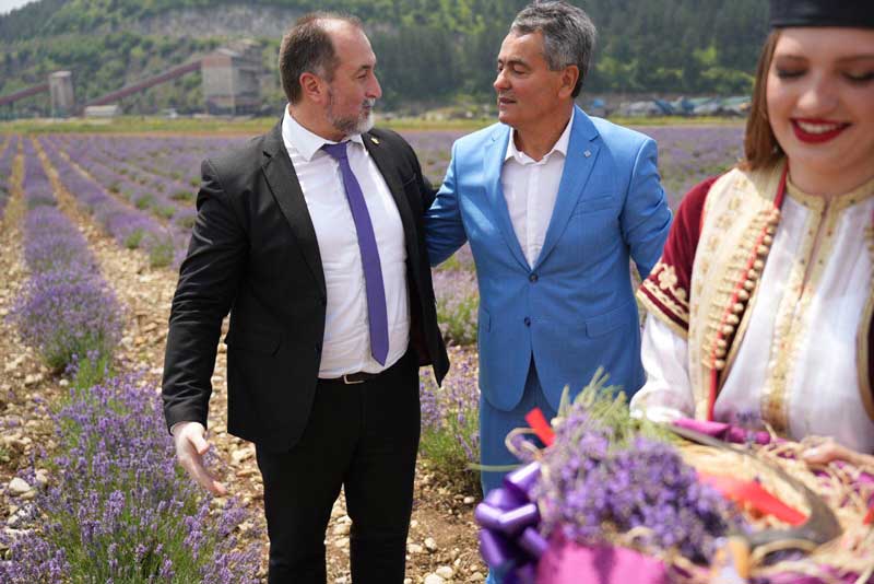 Prva žetva Rudnika uglja: Lekić i Stijović otvorili Dane lavande