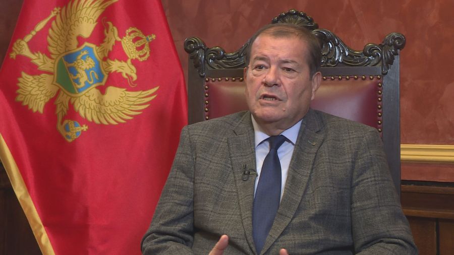 Ivanović: Javnost sve manje vjeruje policiji, dolazi na naplatu zapošljavanje za glasove na izborima