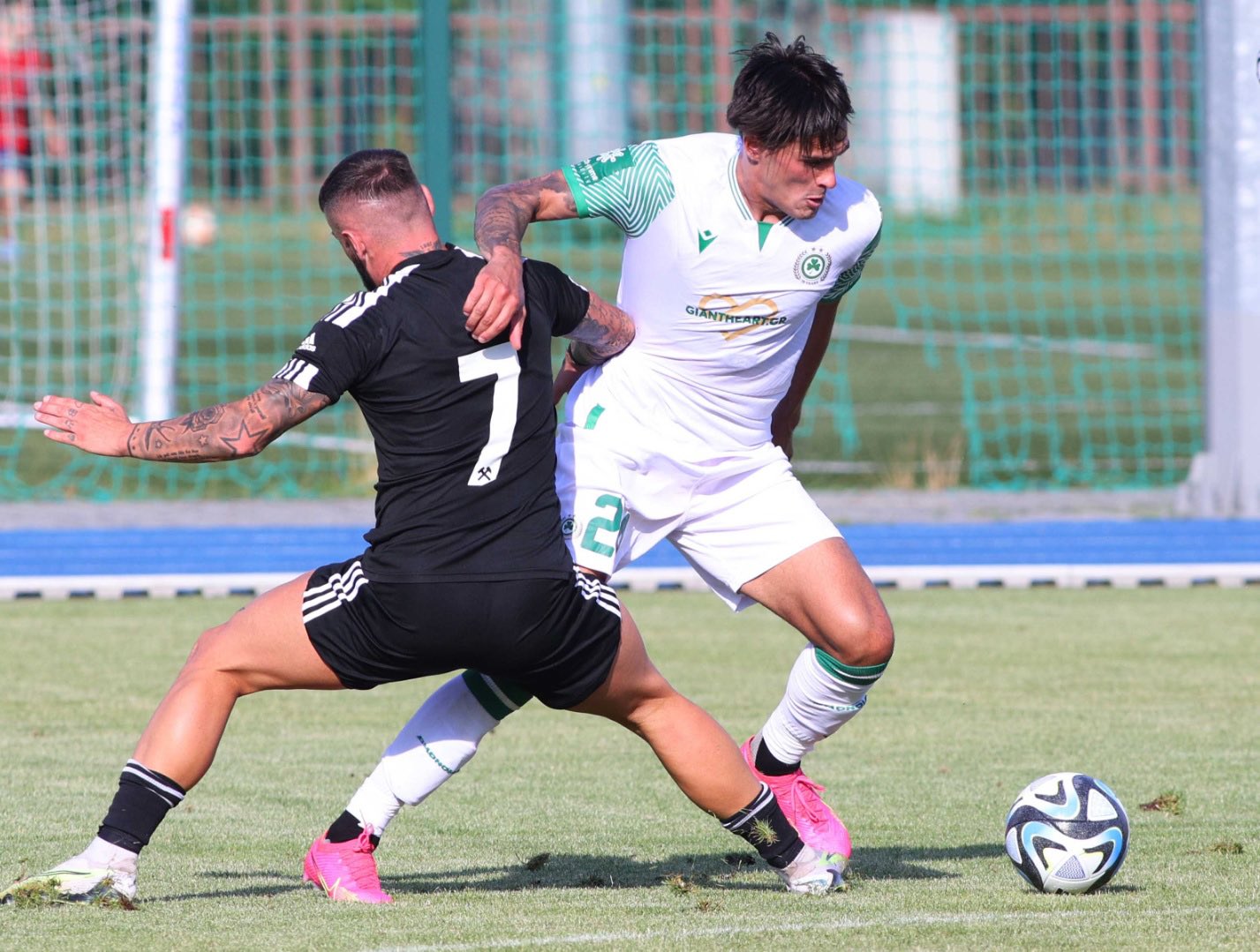 Eraković pokidao ligamente koljena