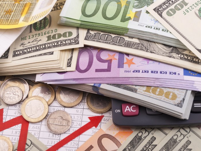Pljevlja: Uhapšena jer je ukrala 200 evra; muškarac protivpravno zaradio blizu 2000e