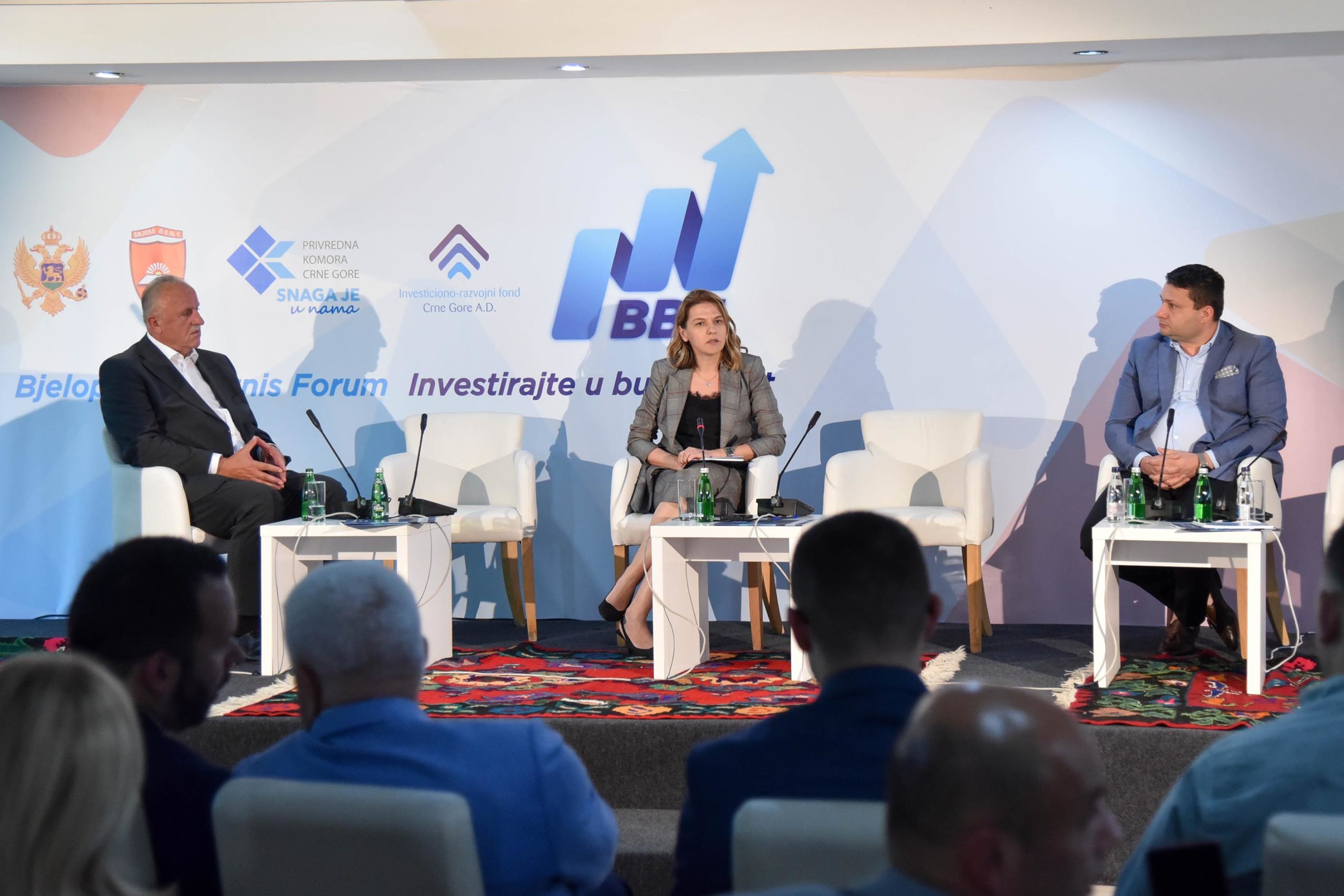 Drakić: Za ukupan razvoj privrede i ravnomjernu regionalnu razvijenost potrebna strategija sa fokusom na ključne sektore