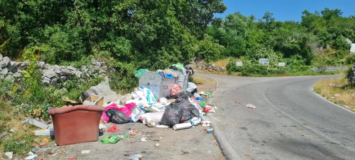 Deponije brojne, pored puta i leševi životinja