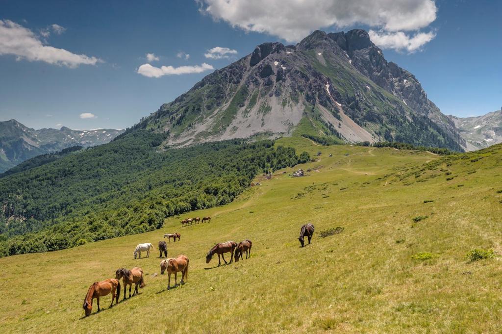 Regionalni park Komovi bez zaštite
