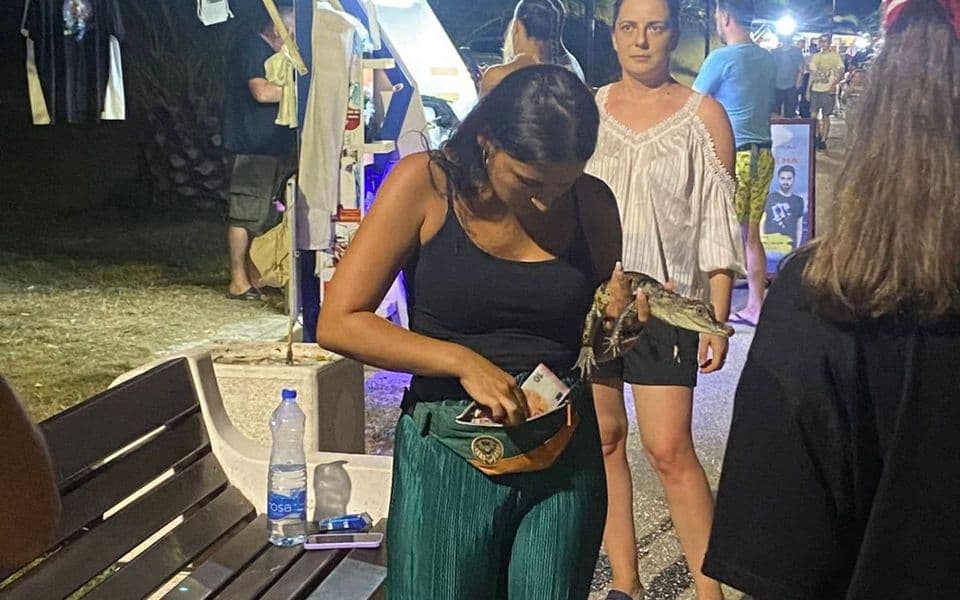 Ekološka inspekcija: Uradili smo svoj posao, policija i ODT su nadležni za pitona i krokodila na šetalištu u Baru!