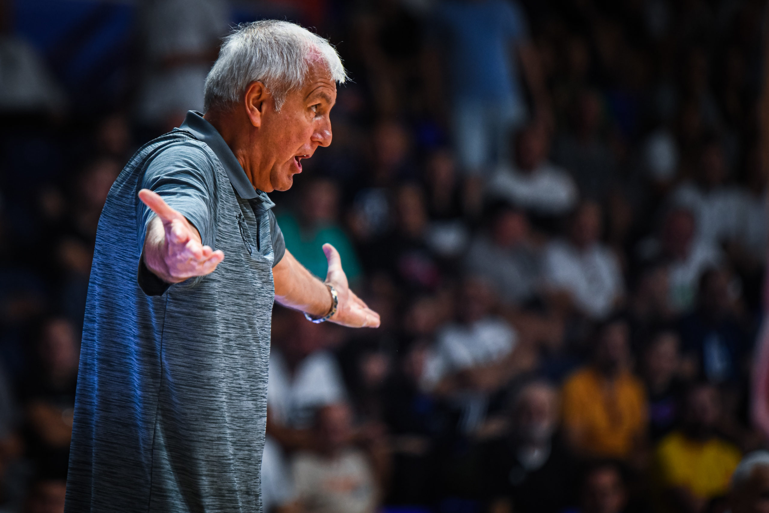 Obradović: Želimo pojačanje ali ne po svaku cijenu