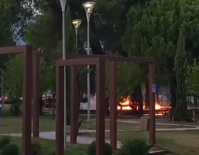 Požar u Podgorici, gorio park