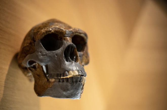 Čovječanstvo jedva preživjelo period od 100.000 godina tokom ranog pleistocena