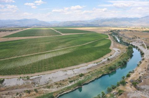 Državno preduzeće nastavilo da niže gubitke: „Plantaže“ u minusu 45,7 miliona