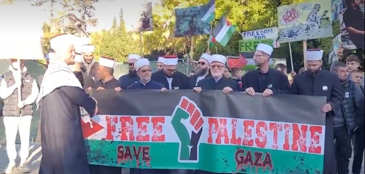Medžlis Islamske zajednice organizovao protest podrške Palestini u Bijelom Polju