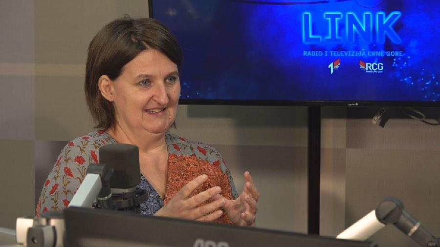 Remiković: Monstat bi prekršio zakon ako u ovom momentu stopira aktivnosti na sprovođenju popisa