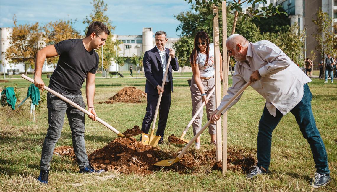 Projekat Stablo znanja: U Studentskom parku posađeno više od stotinu sadnica