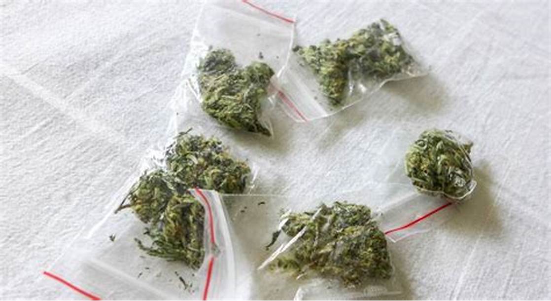 Prekršajne prijave protiv dvije osobe: Pronađena marihuana u Herceg Novom i Tivtu