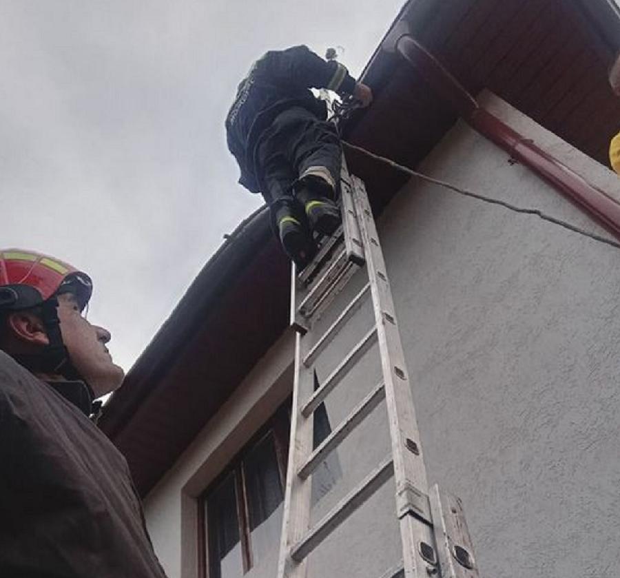 Drvo se obrušilo na kuću u Mojkovcu