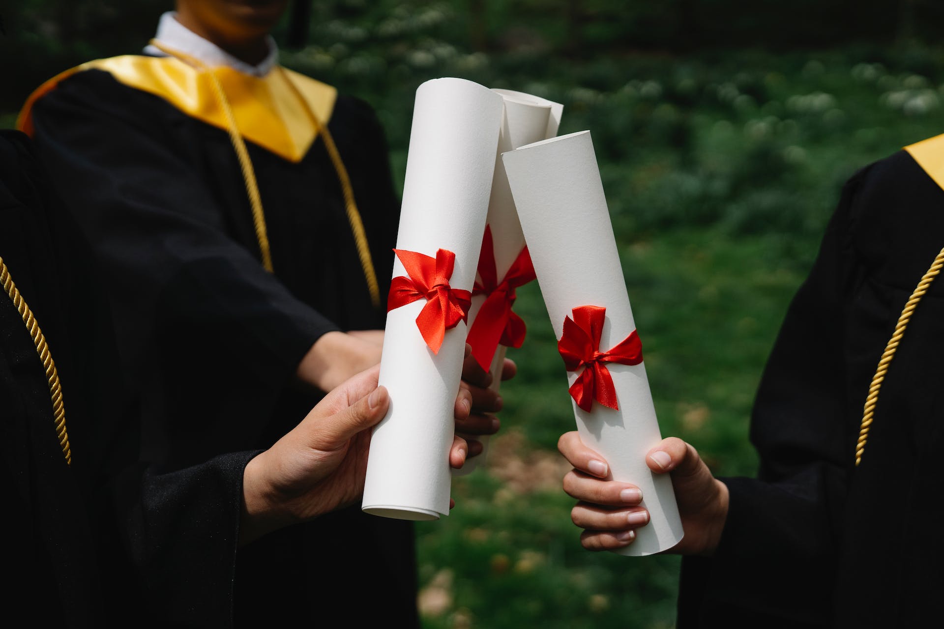 Diploma tija, s konopca i koca