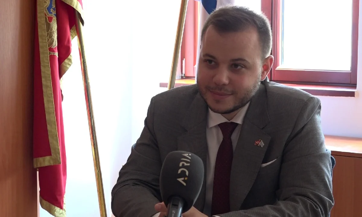 Rakčević: Vatromet zagađuje životnu sredinu i stvara ogroman stres životinjama, zbog toga ga neće biti ove Nove godine!