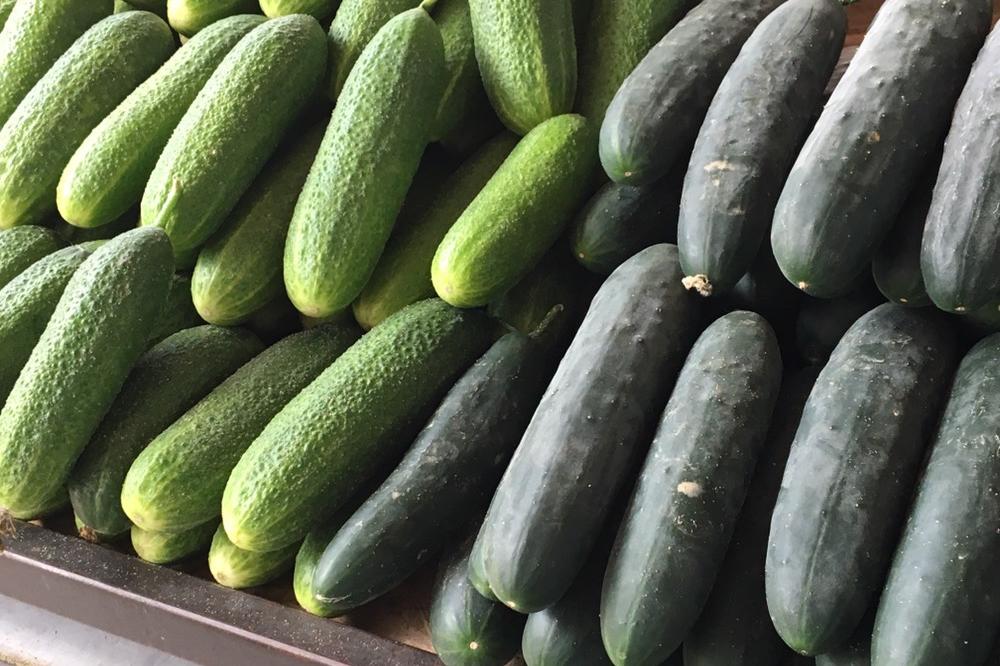 Inspektori u oktobru spriječili uvoz nešto više od 5.000 kilograma krastavca lošeg kvaliteta