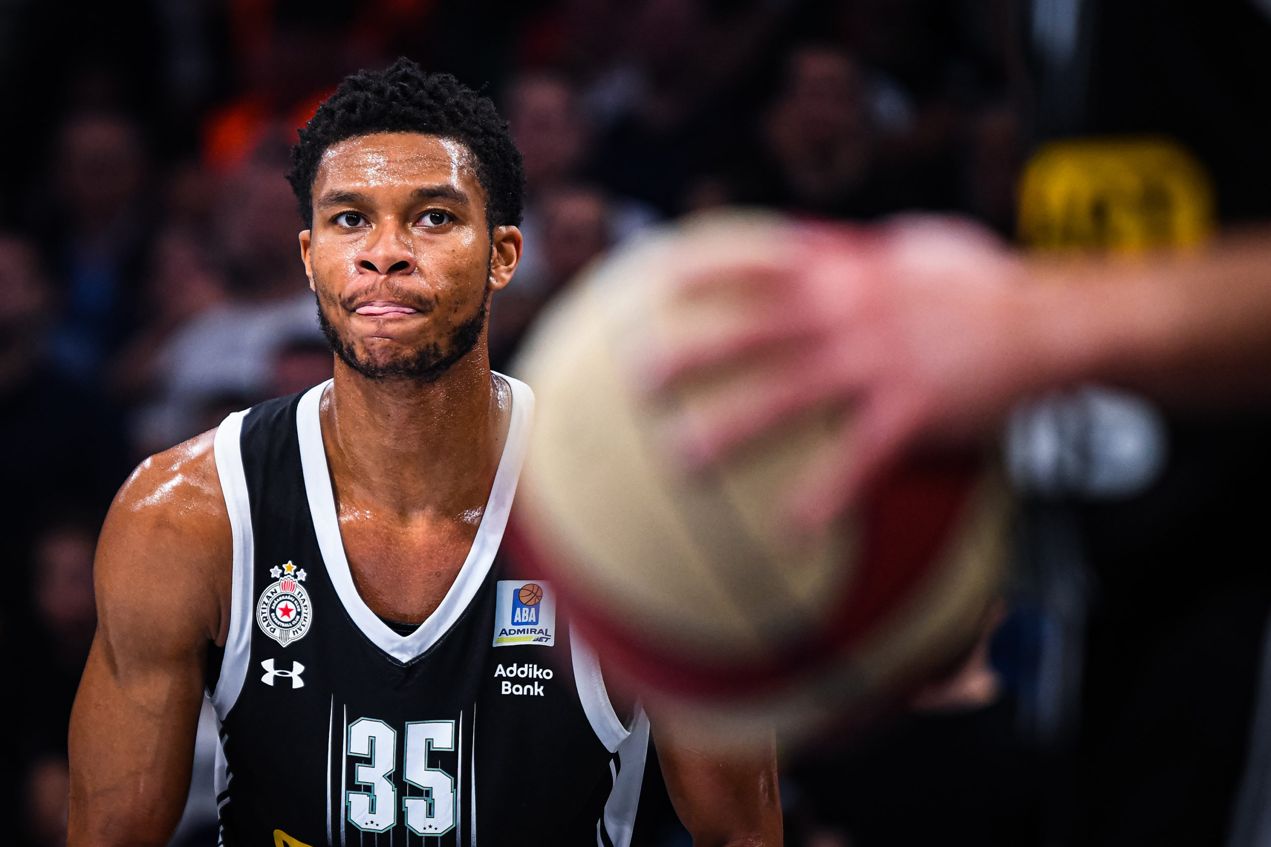 Desetkovani Partizan u Zelenoj šumi