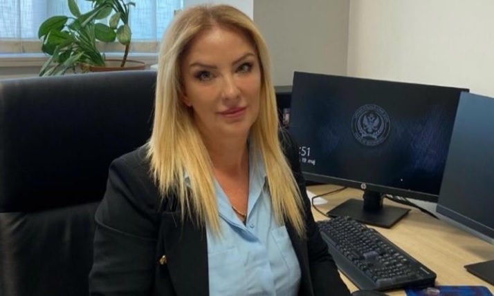 Inovacija u borbi protiv kriminala: Interpolov novi servis za traženje ukradenih vozila