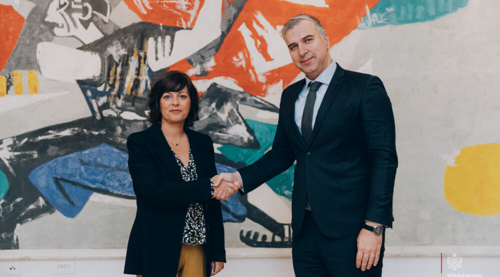 Vujović: Zemlje regiona se zajedničkim projektima najbolje mogu predstaviti Evropi i svijetu