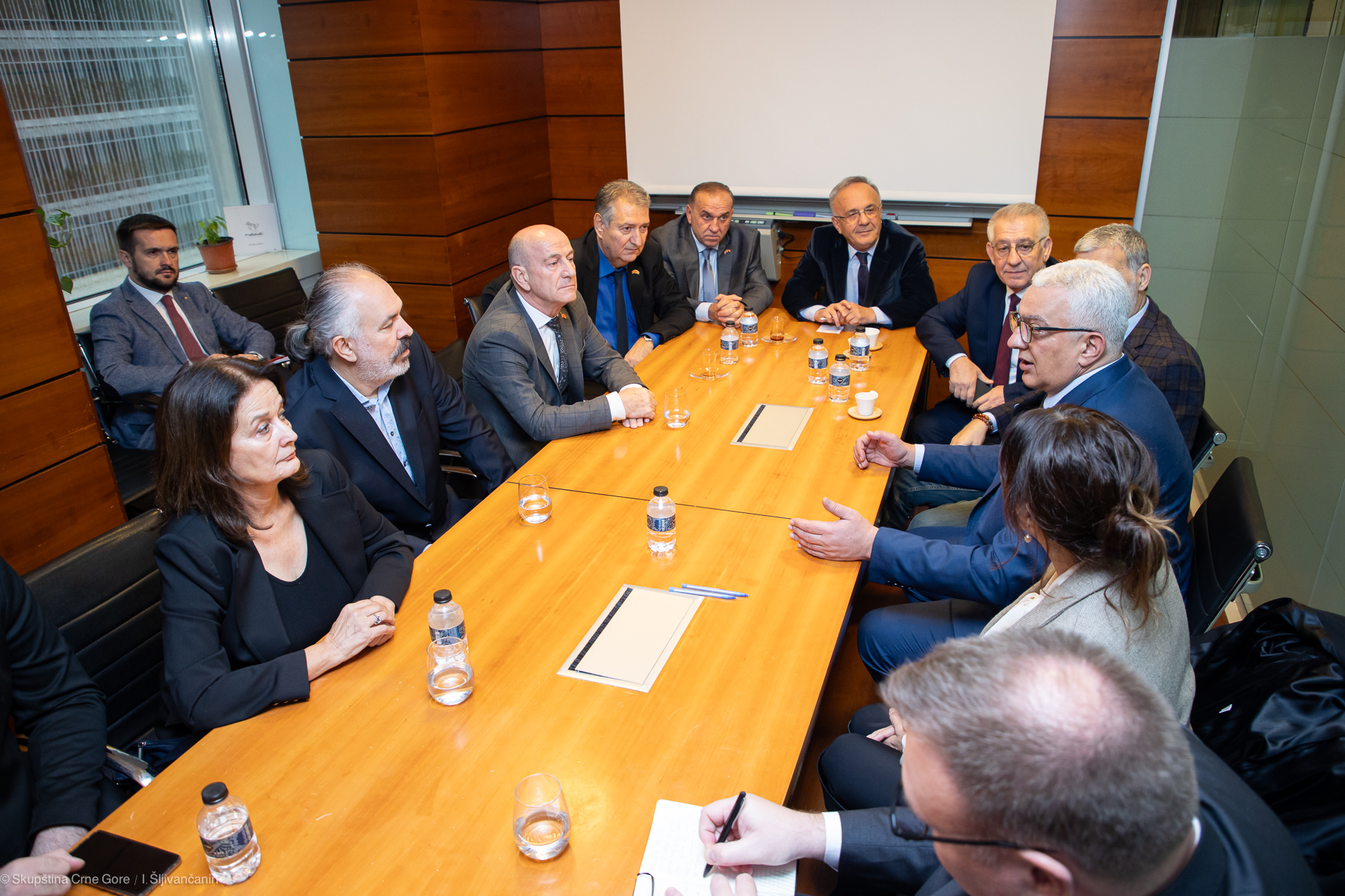 Mandić sa predstavnicima udruženja iseljenika i studenata u Republici Turskoj
