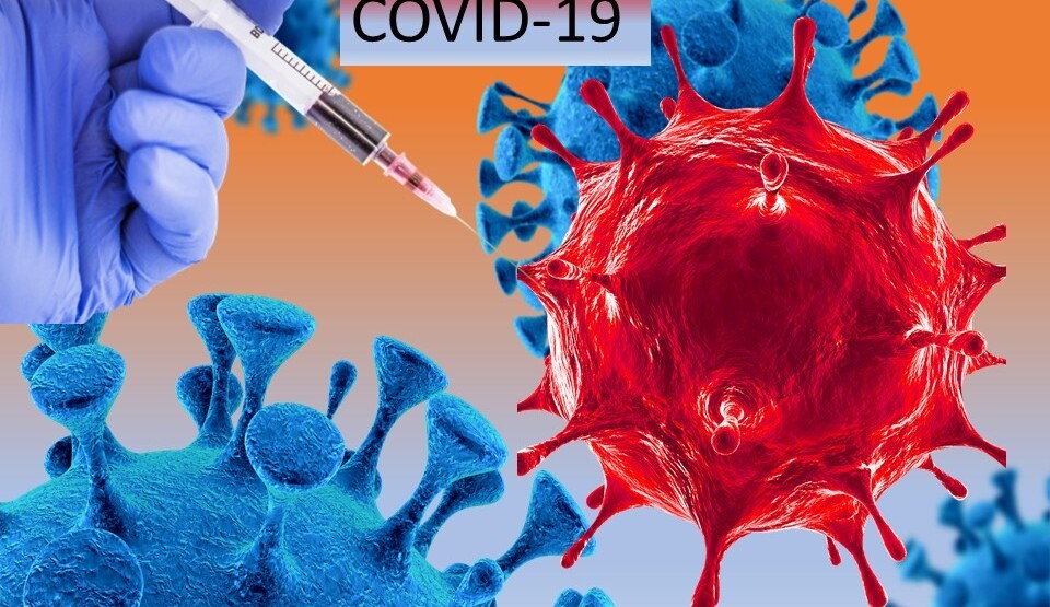 Neophodno razraditi razliku između krivičnog djela i prekršaja u uslovima epidemije