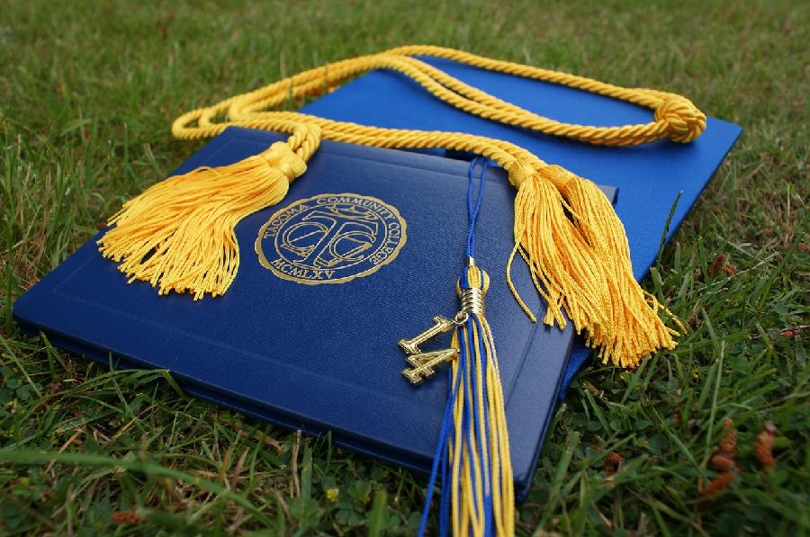 Ministarstvo: Provjerićemo diplome; Pavićević: Interne istrage osuđene na propast