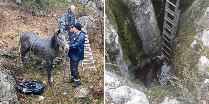 Spasilačka akcija na Cetinju: Nakon dva dana izvukli konja iz provalije