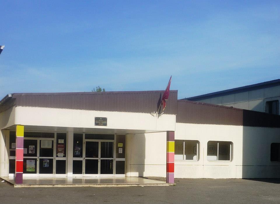 Dojave o bombama u više podgoričkih škola opet remete nastavu