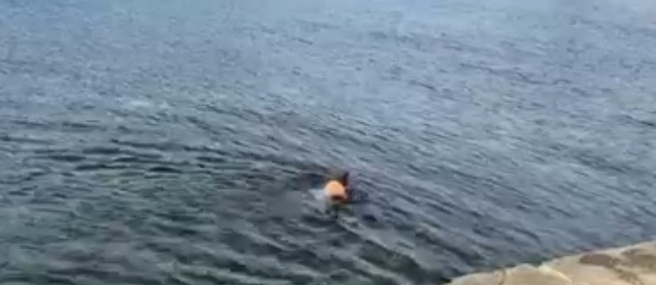 Novogodišnje kupanje u Herceg Novom (VIDEO)