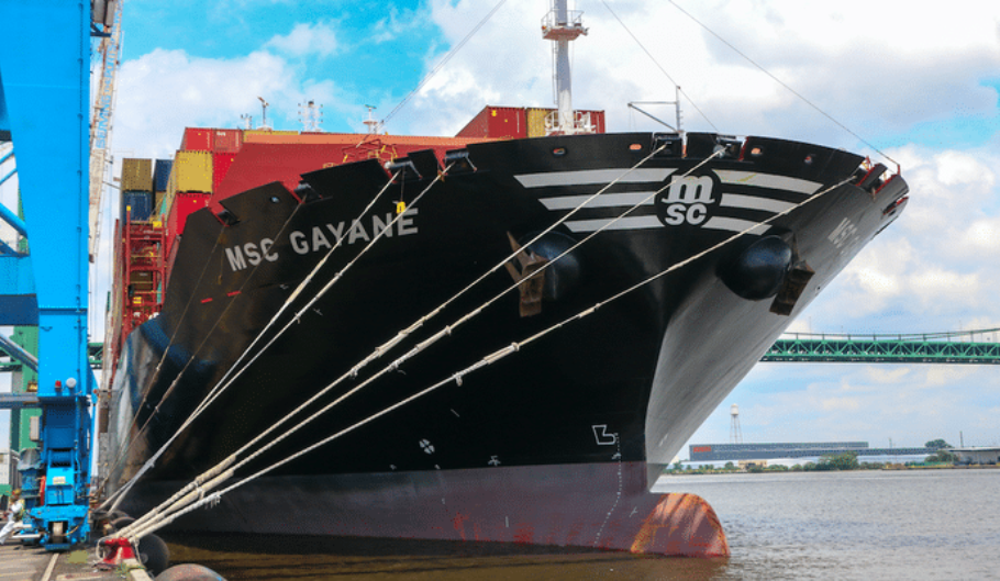 msc-gayane