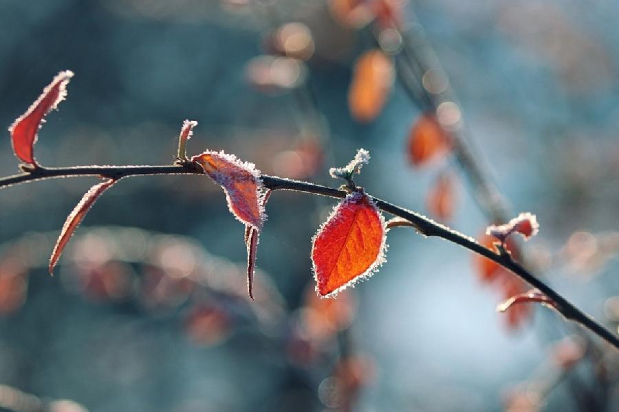 U subotu pretežno sunčano, najviša dnevna temperatura do 16 stepeni