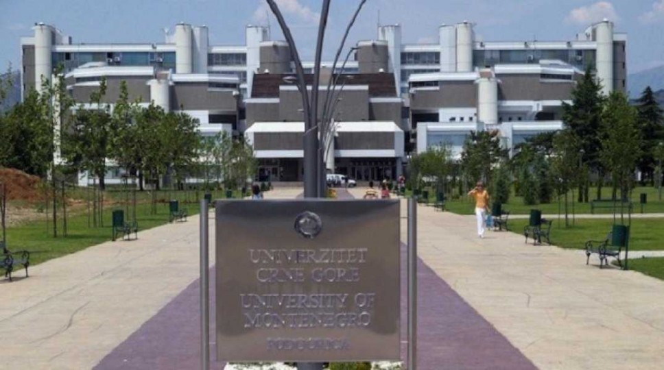 Zaposleni na Univerzitetu pridružuju se prosvjeti u štrajku