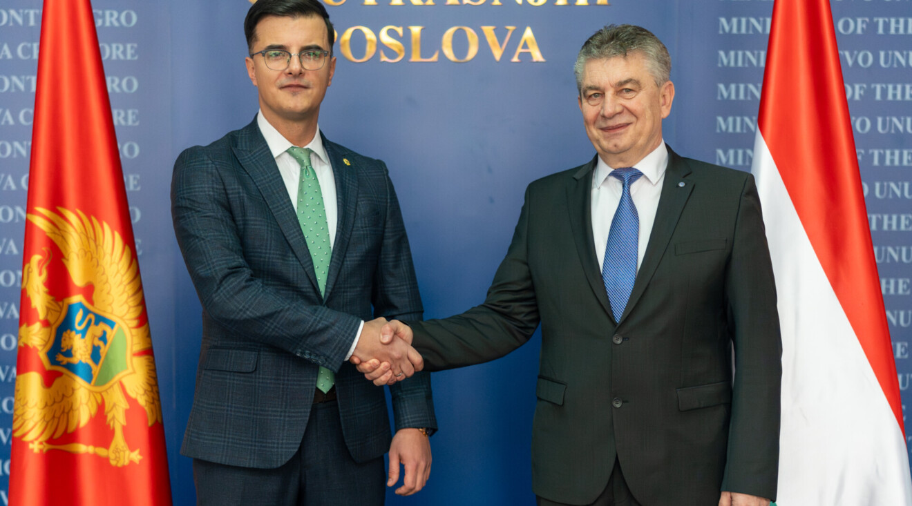 Šaranović-Neđeši: Rezultati koji su ostvareni u proteklih tri mjeseca pokazuju čvrstu odlučnost MUP-a i Vlade Crne Gore da se izbori sa organizovanim kriminalom i korupcijom