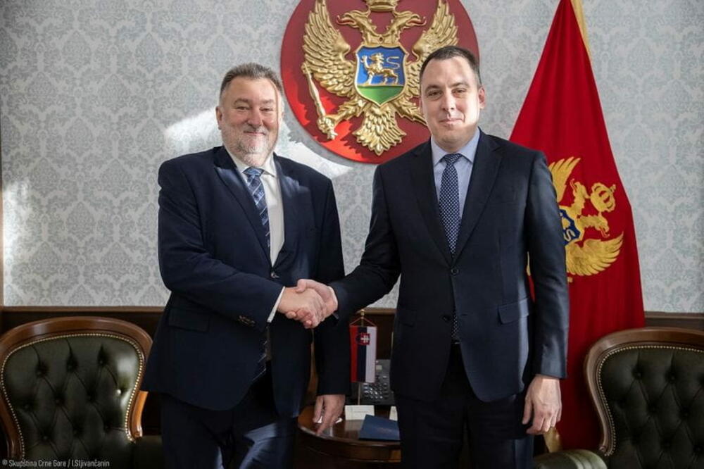Vuković sa Gandelom: Naredni mjeseci ključni su za dalji napredak Crne Gore u procesu evropskih integracija