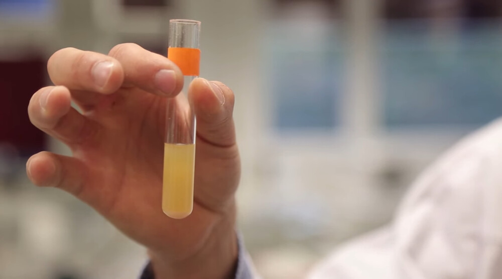 Komisija za antidoping pozvala saveze: Za Olimpijske igre edukovati sportiste o važnosti antidopinga