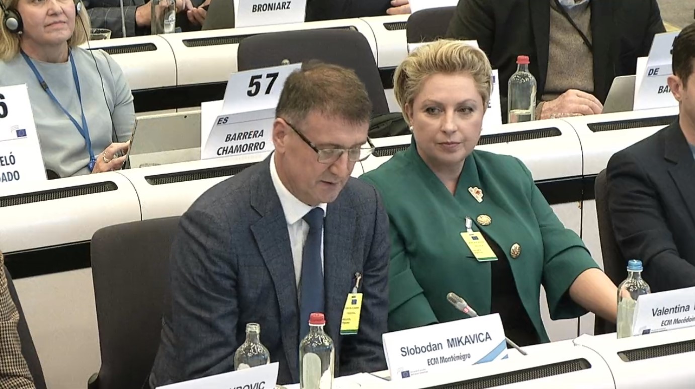 Predsjednik Unije poslodavaca Crne Gore učestvovao na Plenarnoj sjednici EESC u Briselu